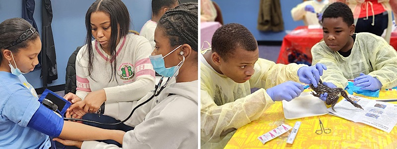 Scenes from Young Doctors Club activities helping students learn about the health sciences: taking blood pressure, examining a frog.