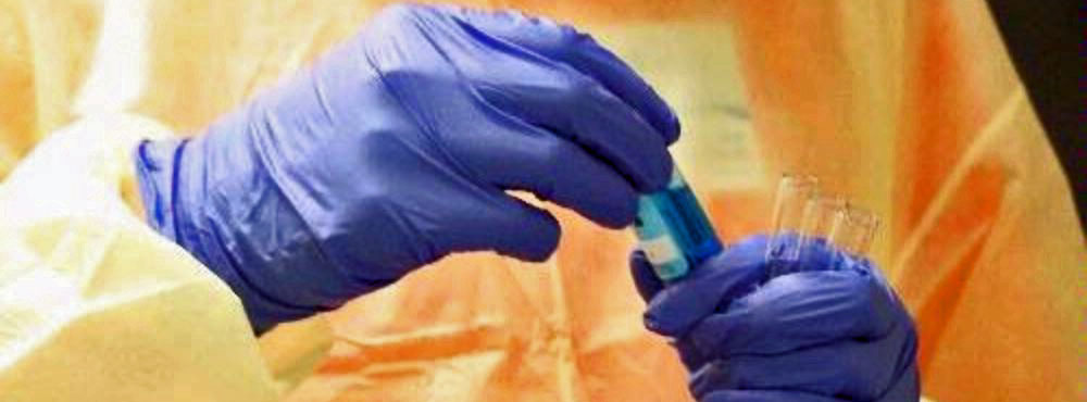 A closeup of a plastic lab-coated researcher's nitrile-gloved hands holding blue-fluid filled test tubes.