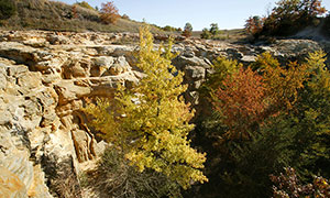 A scenic cliff at Buffalo Rock State Park.