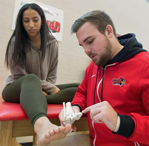 Student learns about the workings of the foot as part of the new Master of Athletic Training program.