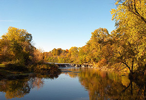 A view of the West Branch DuPage River in Warrenville Grove Forest Preserve.