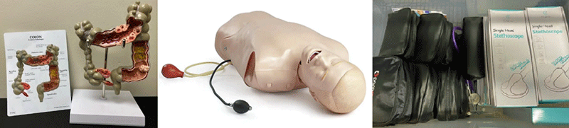 Examples of resources available from the South Central AHEC Lending Library - anatomical models, a difficult airway trainer manikin, and blood pressure cuffs and stethoscopes.