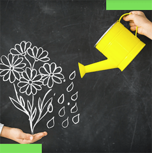 Watering can and plant - an image from promotion for the the CHW Lunch & Learn series.