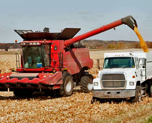 In a field, a red combine harvester spews grain from its auger into a grain cart.