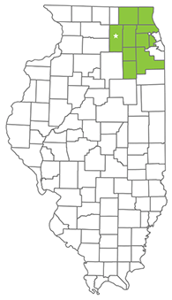 Illinois AHEC Northeast region