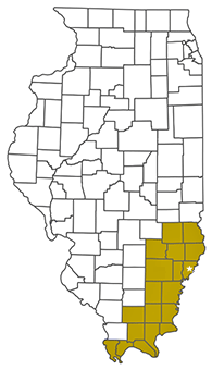 Illinois AHEC Southeastern region